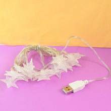 Bright Star USB Decorative Fairy Lights